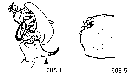 {short description of image}