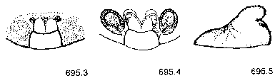 {short description of image}