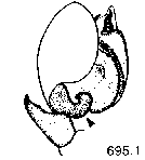 {short description of image}