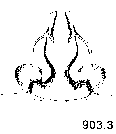 {short description of image}