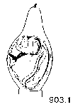 {short description of image}