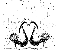 {short description of image}