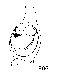 {short description of image}