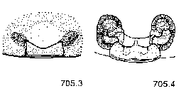{short description of image}