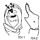 {short description of image}