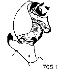 {short description of image}