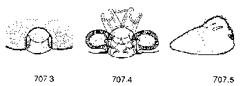 {short description of image}