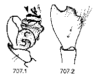 {short description of image}