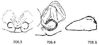 {short description of image}
