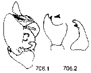 {short description of image}