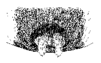 {short description of image}