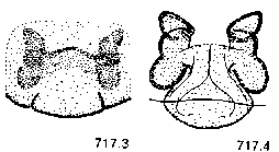 {short description of image}