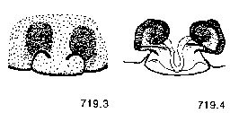 {short description of image}
