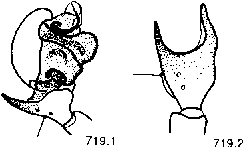 {short description of image}
