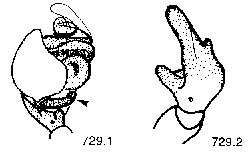 {short description of image}