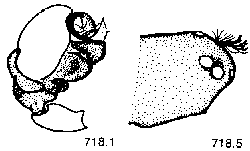 {short description of image}