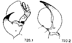 {short description of image}