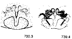 {short description of image}
