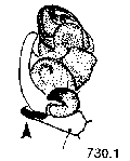 {short description of image}