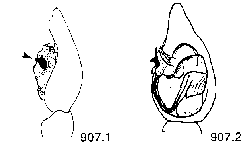 {short description of image}