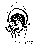 {short description of image}