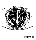 {short description of image}