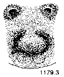 {short description of image}