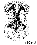 {short description of image}