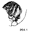 {short description of image}