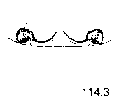 {short description of image}