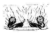 {short description of image}