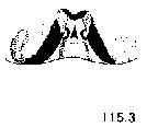 {short description of image}