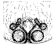 {short description of image}