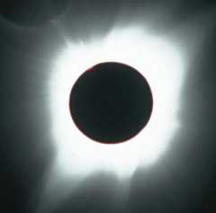 corona