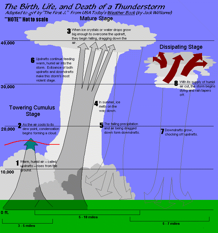 [Diagram]