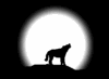 /user/wolf_lg_blk.gif