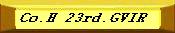 h23gvir.jpg (2769 bytes)