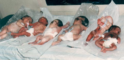 iraqbabies.jpg (27442 bytes)