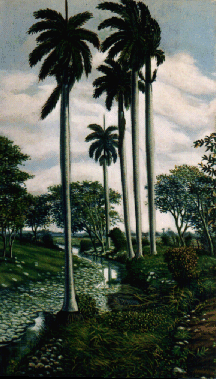cuba peinture roaidi