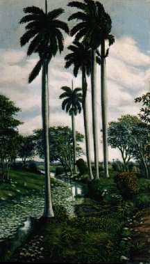cuba peinture roaidi