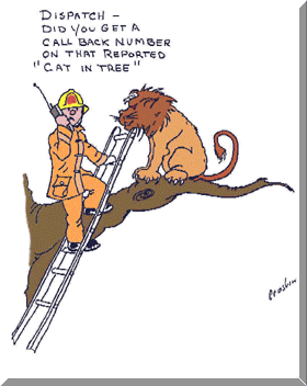 bigcatc.gif (105274 bytes)