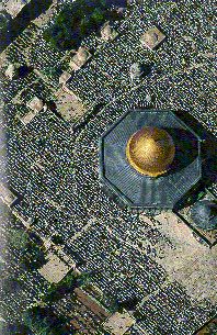 City4.gif (47247 bytes)