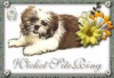 The Wicket SiteRing