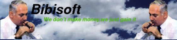 Bibisoft.we don't make money.we just gain it