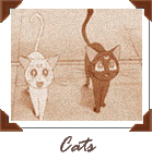 To The Cat's Gallery!&nbsp; Click Here To Enter!
