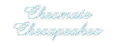 Chesmate Chesapeakes logo