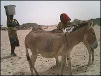 Women fetching water