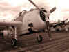 airshow3.JPG (126643 bytes)