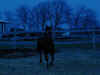 Chase_demon.JPG (135759 bytes)