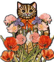 kitflowers